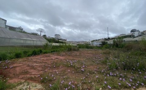 Cần bán đất hẻm xe hơi đường Trịnh Hoài...