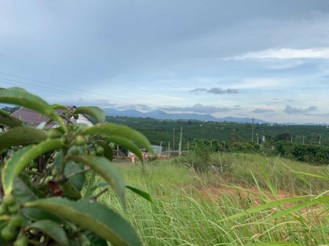 CHÍNH CHỦ BÁN ĐẤT SAU NHÀ HÀNG HƯNG PHÁT...