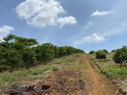 CHÍNH CHỦ CẦN BÁN GẤP LÔ ĐẤT ĐẸP...