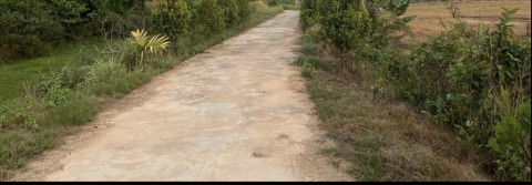 Chính chủ bán 3ha đất Gia Viễn giá rẻ...