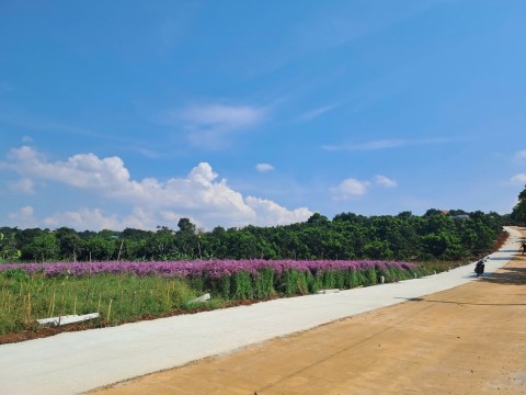 Mảnh đất cách nhựa 400m, bằng phẳng, nở...