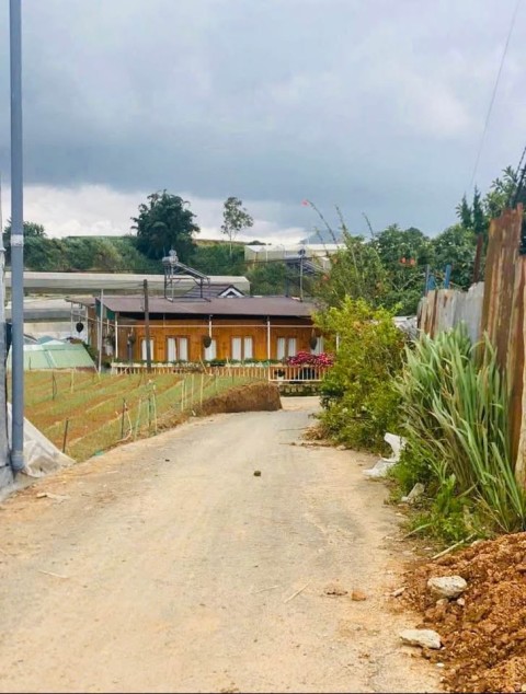 Chính chủ bán 86m2 phường 7 thành phố Đà...