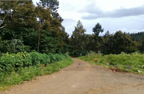 Bán gấp lô đất mặt tiền đường tránh phía...