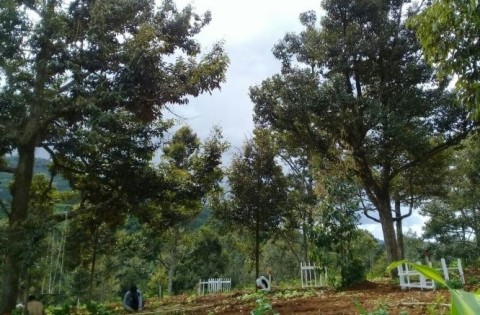 Bán nhanh lô đất diện tích 1700m2 tại...