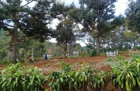 Bán đất tại đường Hoài Thanh, Phường Lộc...