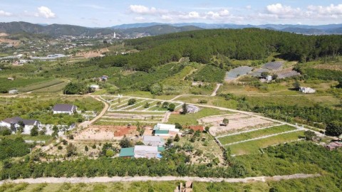 ĐẤT NGOẠI Ô ĐÀ LẠT VIEW THÔNG VĨNH VIỄN,...