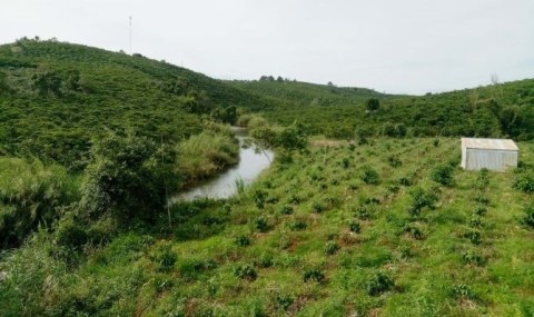 Bán nhanh lô đất tại Trục đường Nguyễn...