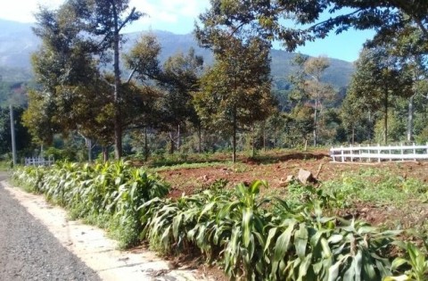 Cần ra đi nhanh lô đất diện tích 600m2...