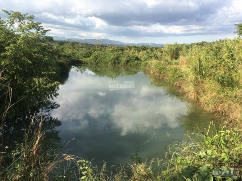 ĐẤT VƯỜN CẦN BÁN GIÁ CHỈ 150 TR/1000M2,...