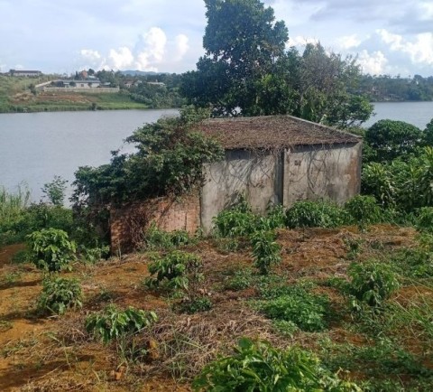 ĐẤT VƯỜN NGHỈ DƯỠNG 26 LÝ THƯỜNG KIỆT P....