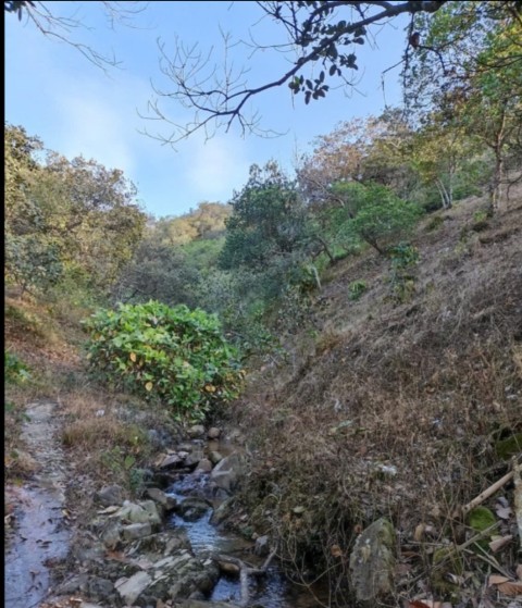 Bán nhanh 5ha đất nông nghiệp xã Tiên...