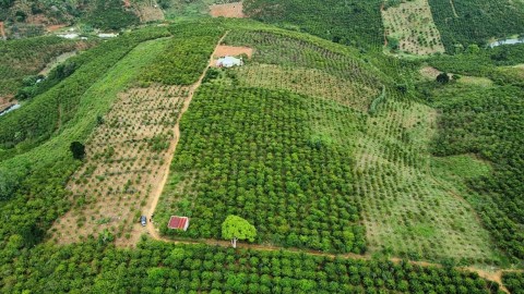 Cần bán nhanh lô đất 9 sào vườn tại thôn...