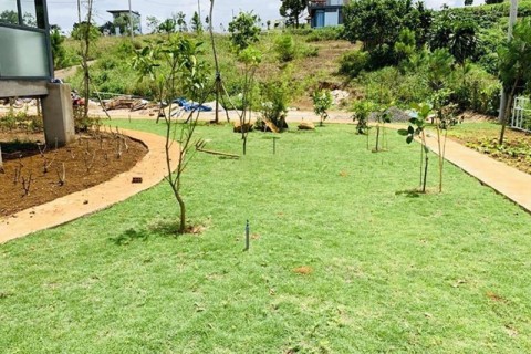 DỊCH CẦN RA GẤP LÔ ĐẤT 233M2 LỘC TIẾN...