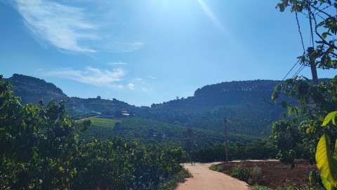 Lô Đất giá rẻ ở Mê Linh cách đường nhựa...