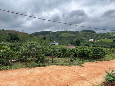 Mảnh đất Mê Linh ngộp giá rẻ cách Đà Lạt...