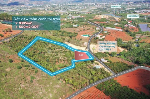 8 sao nam ban gia re
8.5 sào đất có sẵn...