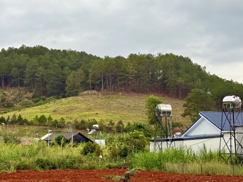 Đất sào nghỉ dưỡng ngay khu biệt thự Gia...