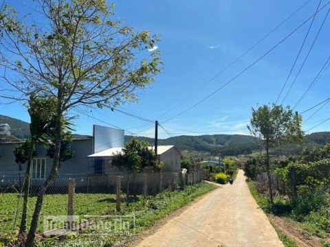 Gia đình có mảnh đất rộng 3,3ha cần ra...