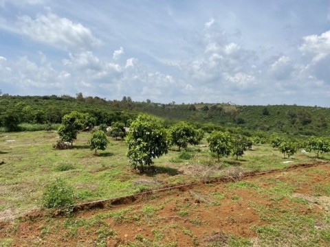 Bán nhanh lô đất giá chỉ 5 triệu/m2 có...