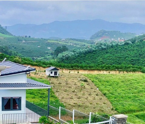 Chủ kẹt tiền cần bán gấp lô đất 2000m2...