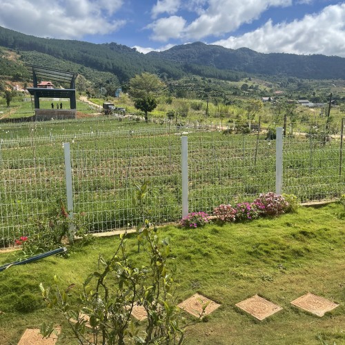 Đất nền view đẹp ven đà lạt giá chỉ từ...