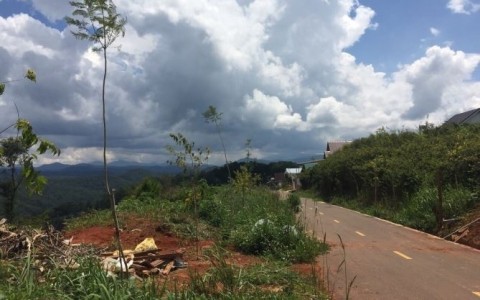 NỀN ĐẤT BIỆT THỰ VIEW RỪNG THÔNG XANH,...