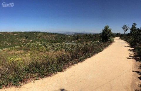 Bán 7267m2 đất thổ cư tại xã Tân Văn,...