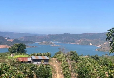 Cần tiền bán gấp 2ha đất tại xã Liên Hà,...