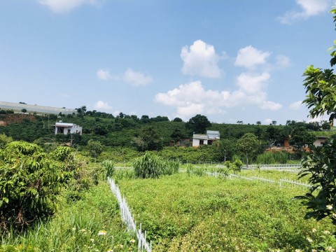 Bán Đất Thổ Cư-Nghĩ Dưỡng Gần UB Xã Nam...