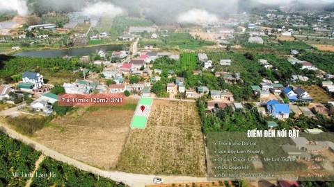 dat-tho-cu-me-minh-gia-tot