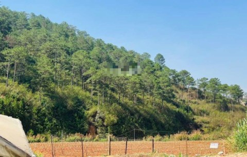 2.7 tr/m2 có bán lẽ trên 2000m2 theo nhu...