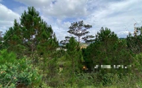 Chủ đi nước ngoài bán rẻ chỉ 1tr/m2 tiếp...