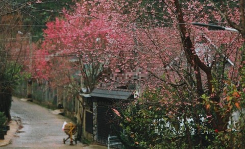 Bán nhà 2 mặt tiền 341m2 xã Đạ Chais,...