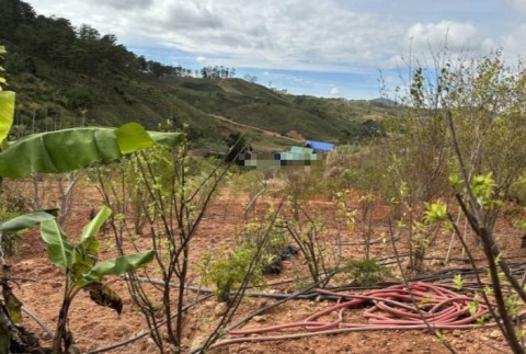 Bán lô đất Xã Đạ Nhim, huyện Lạc Dương,...