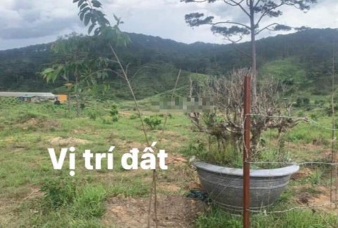 Chính chủ bán đất Đạ Nhim QL 27C gần...