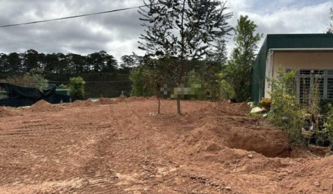 Bán lô đất Xã Đạ Nhim, huyện Lạc Dương,...