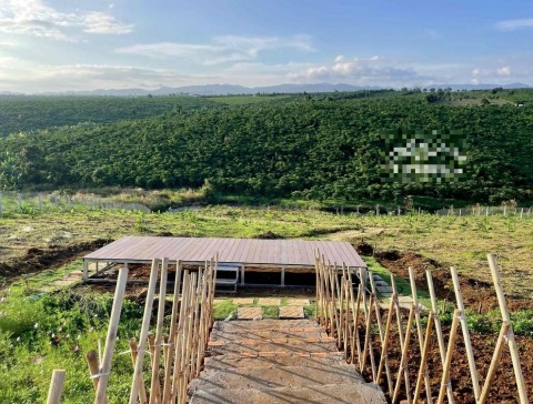 Đất Vườn Rộng Lớn 1000M2, Nơi Lý Tưởng...