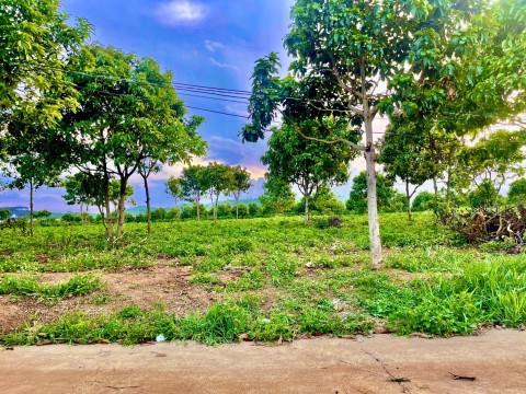 Bán Nhanh Lô Đất Gần Đường Nhựa xã Nam...