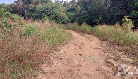 Đất Nông Nghiệp 2500 M² Giá Chỉ 150...