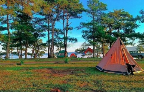 Đất 5000 M² Xã Gia Bắc Huyện Di Linh...