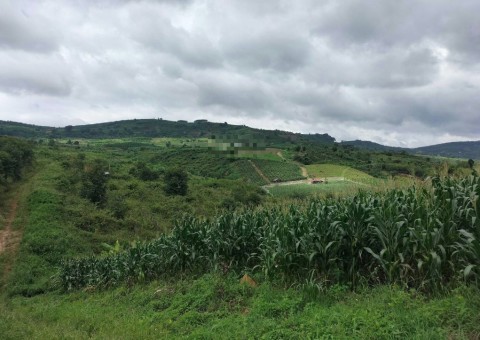 Cần bán gấp đất vườn view sông Đồng Nai,...