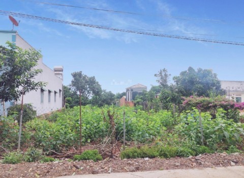 Cần bán đất xã Gia Hiệp huyện Di Linh,...