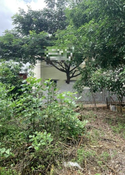 Chính Chủ Bán Miếng Đất 533M2, 2 Mặt...