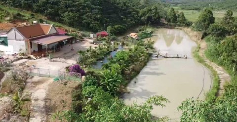 Do không ai trông coi cần bán 3 hecta 2...