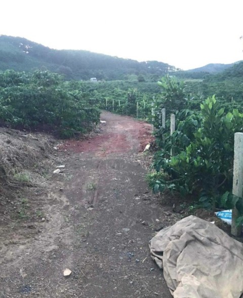 Bán đất Di Linh, Lâm Đồng - Xã Gung Ré...