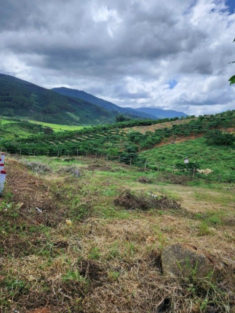 Bán 6 nền đất hưu trí view núi đồi ruộng...