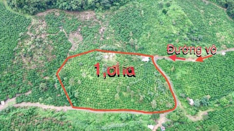 Cần Bán Gấp Đất Vườn xã Gung Ré huyện Di...