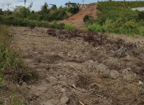 Chỉ 550tr sở hữu lô đất giáp suối tại...