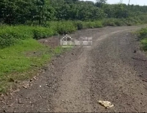 Đất Bán 6730M2 Có 400M2 Thổ Cư Đường...