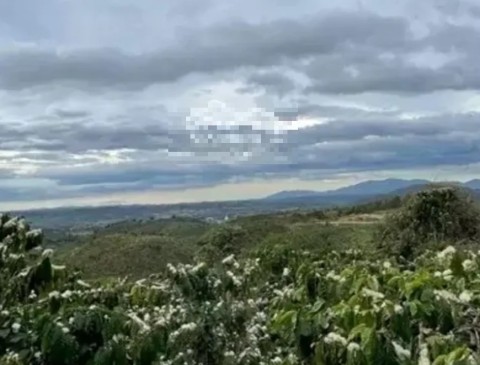 Bán đất làm khu nghỉ dưỡng view đồi núi...